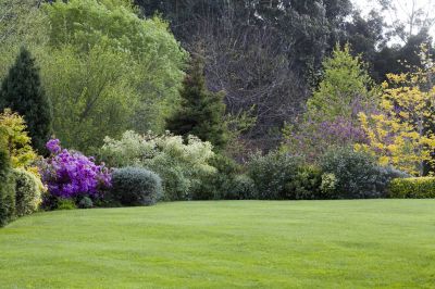 Landscaping Maintenance