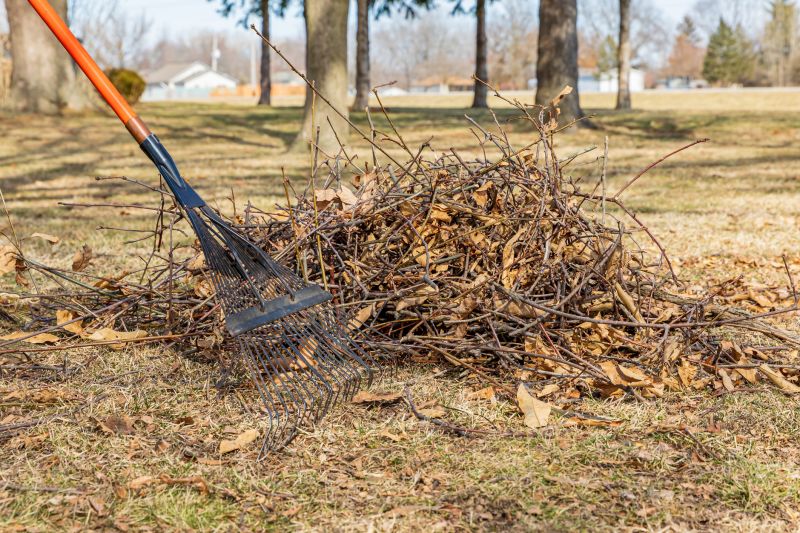 Mulched Leaves on Lawn