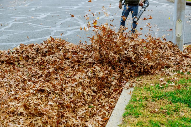 Efficient Leaf Clearing