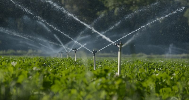 Irrigation Management