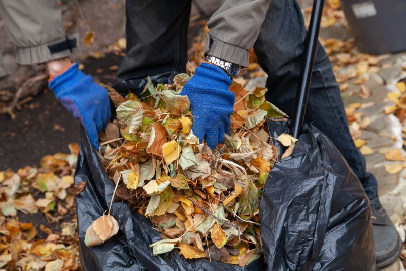 Seasonal Cleanups
