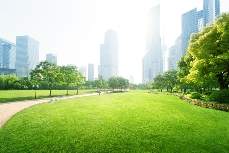 Products For Landscaping Maintenances in use